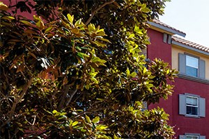 Miramar apartments for rent in San Diego near Qualcomm - Mira Bella Apartments